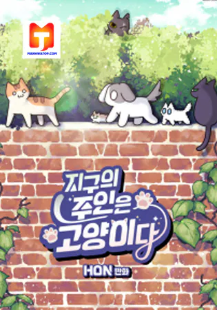 Cats Own The World