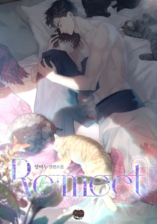 Re:meet