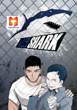 Shark