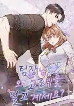 Team Leader, Why Are You Carrying a Whale?