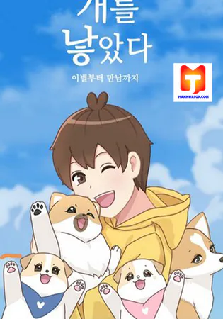 The Dog Diaries