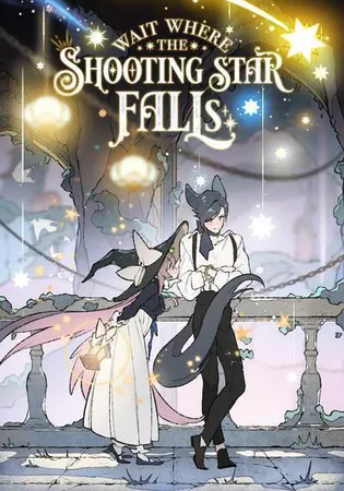 Wait Where the Shooting Star Falls